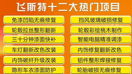 飞斯特汽车科技特色服务项目