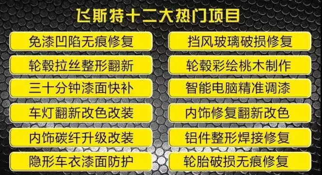 飞斯特汽车特色技术培训项目